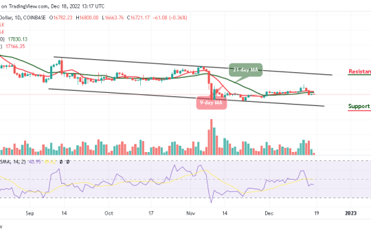 Bitcoin Price Prediction for Today, December 18: BTC/USD Could Start a Fresh Decline Below $16k