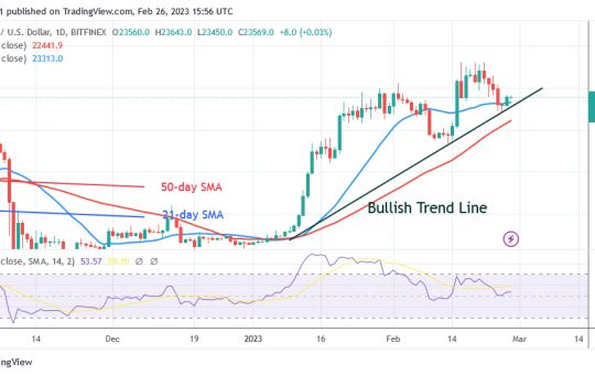 Bitcoin Price Prediction for Today, February 27: BTC Price Rebounds but Risks Decline below $23K