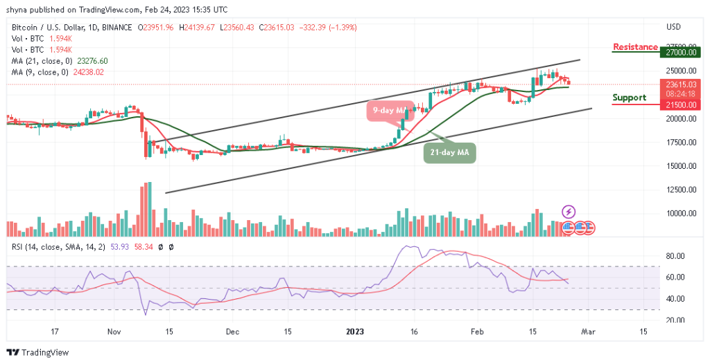 Bitcoin Price Prediction for Today, February 24: BTC/USD Slides Below $24,000 Level