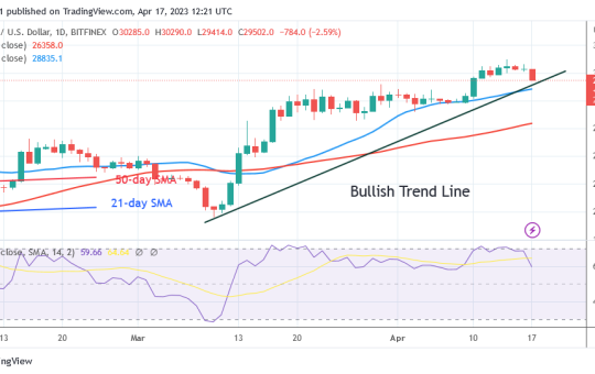 Bitcoin Price Prediction for Today, April 17: BTC Price Is Circling over the $29K Support