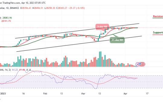 Bitcoin Price Prediction for Today, April 10: BTC/USD May Head Below $28,000 Support