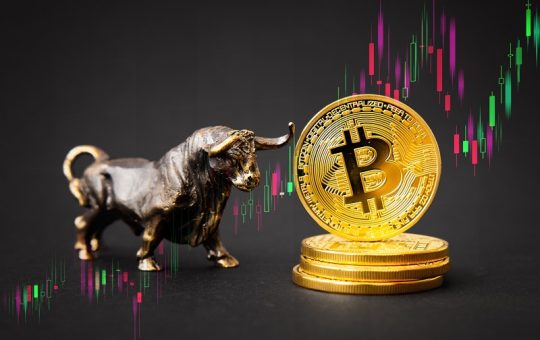 Bitcoin surges above $30,100: here are the driving factors