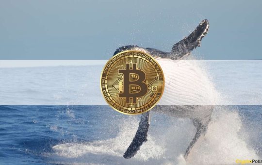 Dormant BTC Whale Wakes Up, Sends $60 Million For the First Time in 9 Years