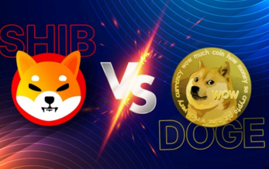 Shiba Inu Will Never Do As Well As This Meme Coin, And Here's Why