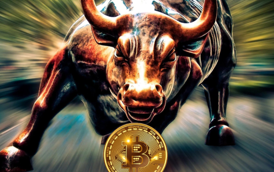 bitcoin bulls