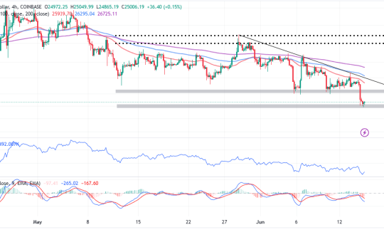 Why Bitcoin Whales Are Staying Calm Despite the SEC-Triggered Crypto Market Sell-off