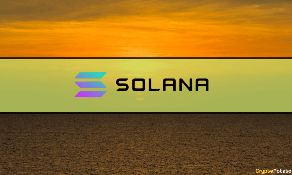 Solana-Based Products Lead with 74% AUM Increase in October: CCData