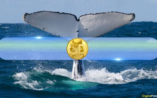 Whale Activity Backs Dogecoin's (DOGE) Surge Above $0.16: Data