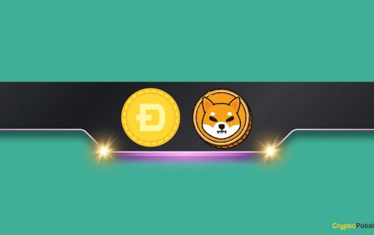 Important Dogecoin (DOGE) and Shiba Inu (SHIB) Metrics Explode by Double Digits Amid Market Correction